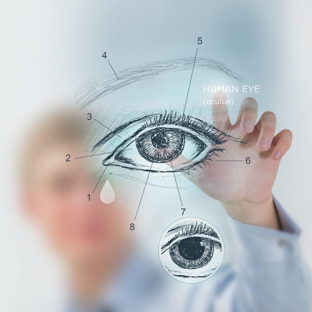 Doctor working virtual interface examining human eye